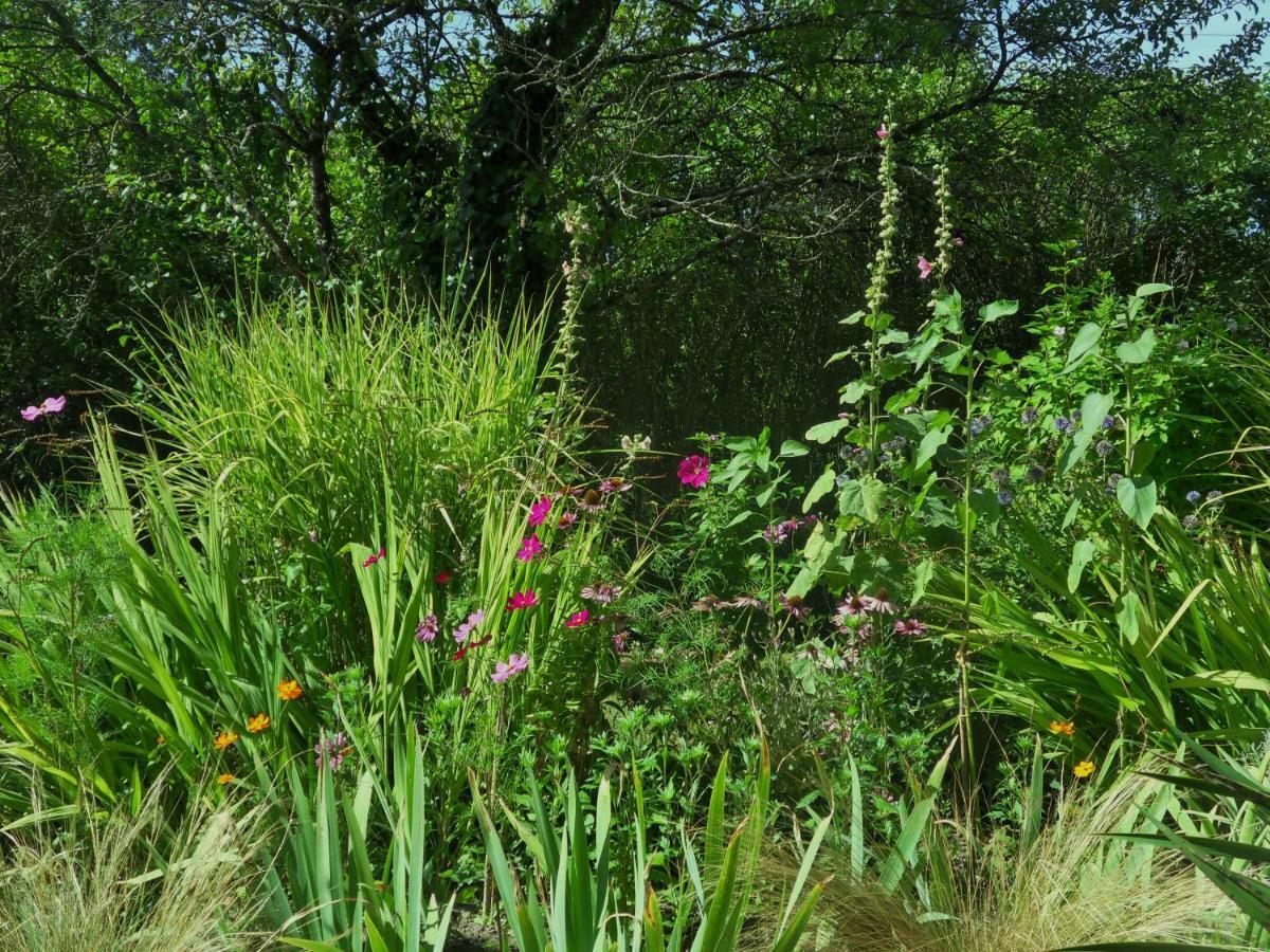 Troglodelice Bed and Breakfast Azay-le-Rideau Εξωτερικό φωτογραφία